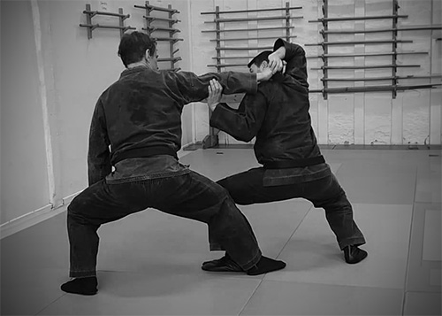Japanese Jujutsu